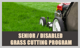 SeniorGrass