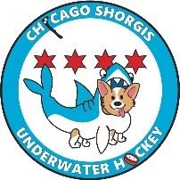 ChIcagoUnderwaterHockey