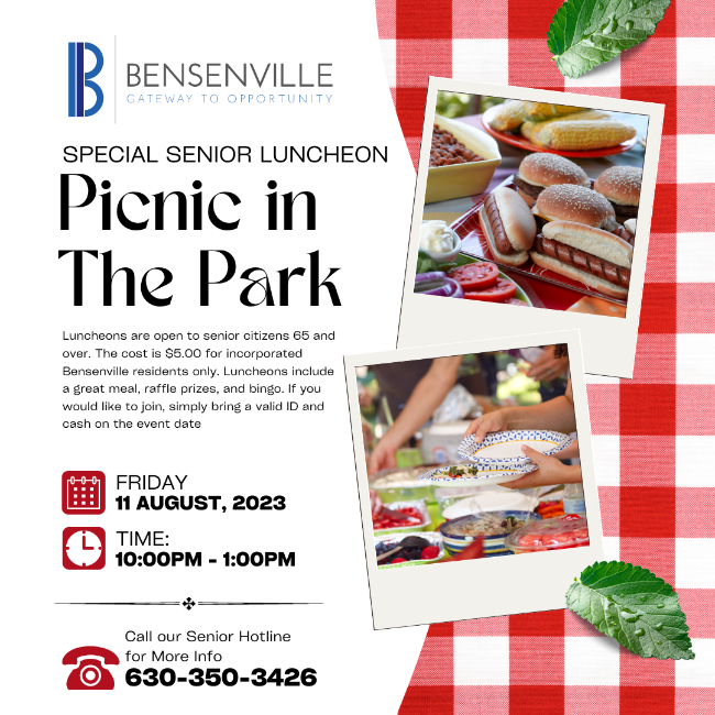 Senior Citizen Picnic