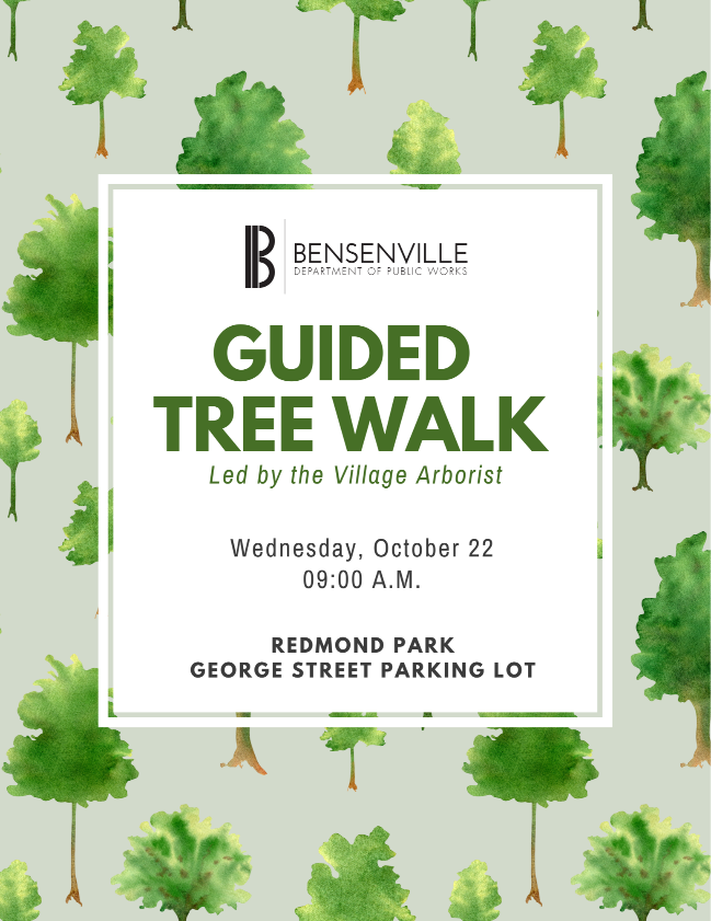 Tree Walk - 10.22.25