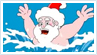 SwimSanta.jpg